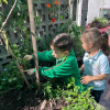 Huerto Escolar en Rootland School: Sembrando Conocimiento, Comunidad y Bienestar